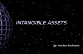 Intangible Assets Ok