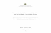 Documento Orientador FORMAÇÃO DE PROFESSORES - PACTO NACIONAL PELO ENSINO MÉDIO