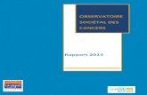 Rapport 2013 Observatoire Societal Des Cancers