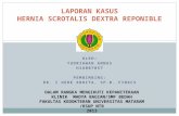Hernia Scrotalis Dextra Reponibel