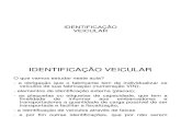 Leandromacedo Legislacaodetransito Completo 051 Identificacao Veicular Atualizado