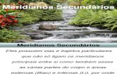 Meridianos Secund - Prof Mauro