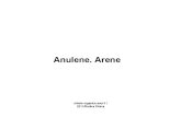 Curs 5 AnuleneArene