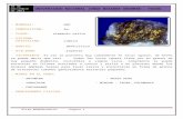 Atlas Mineralogico - Unjbg