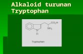 Alkaloid Tropan