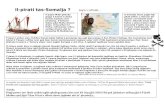 Il-Pirati Somali Worksheet