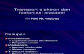 Transport Elektron Dan Fosforilasi Oksidatif