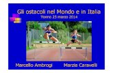 Marcello Ambrogi - Presentazione Torino 23 marzo 2014