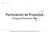 Formulacion de Proyectos - Vers2013
