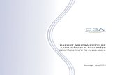 Raport Anual CSA 2012