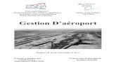 Rapport de Projet Java Aéroport