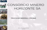 4.Proceso Merrill Crowe - Horizonte