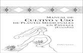 Lacaze 2006- Manual de Cultivo y Uso Pastaza
