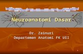 Senin Dr Zainuri Dasar Dasar Neuroanatomi