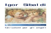 Igor Sibaldi Istruzioni Per Gli Angeli