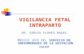 Vigilancia Fetal Intraparto