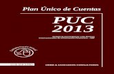 Plan Ãºnico de cuentas PUC 2013