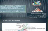 neurohipofisis & trastornos hidroelectroliticos