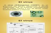Powerpoint - Fiebre Chikungunya