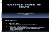 Cause of death (Penyebab kematian)
