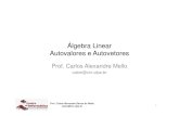 Autovalores e Autovetores1.pdf
