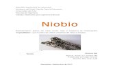 Niobio (Windows Docx)