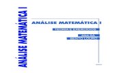 Analise Matematica I Ana Sa