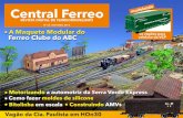 Central Ferreo 05 Abr2013