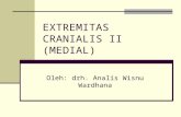 EXTREMITAS CRANIALIS II (MEDIAL).ppt