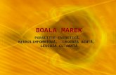 3 Boala Marek