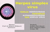 Familija Herpesviridae