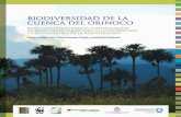 Biodiversidad Orinoco Baja