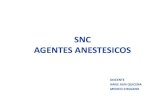 20. Anestesicos Snc 1 Nage