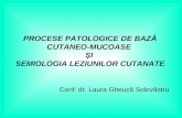Curs 3 Procese Patologice + Lez Elem