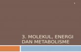 3. Molekul, Energi Dan Metabolisme