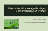 12.- Plagas y Enfermedades en Viveros Forestales