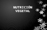Unidad 1 Nutricion Vegetal