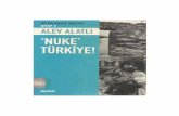 Alev alatlı_Nuke Türkiye.pdf