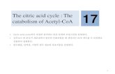 17 The citric acid cycle