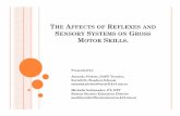 The Affects of Reflexes and Sensory Systems on Gross Motor Skills