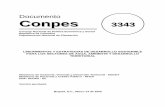 Conpes 3343 (1)