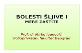 Bolesti sljive pp prezentacija - dr Mirko ivanovic
