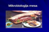 Mikrobiologija Mesa pp prezentacija