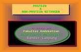 Protein NPN