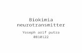 Biokimia Neurotransmitter