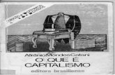 Livro O que é Capitalismo Afrânio Mendes Catani