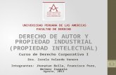 Presentacion Derecho Propiedad Intelectual 2013