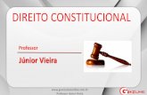 Direito Constitucional - Aula 07 - Princípio da Legalidade e Liberdades