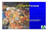 Cucurbitaceas Introduccion Fisiologia.pdf