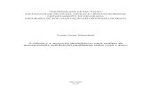 CIDADE E MERCADO IMOBILIÁRIO (DISSERTAÇÃO USP).pdf